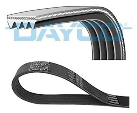 Dayco 94249 Eksantrik Kayışı (138x150) 1.6SL Tempra Tipo Uno 138Dıs (Gd138H8P150) Ct604 46408751