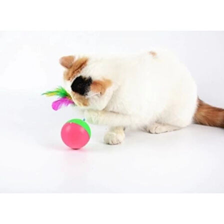 Dodes Kedi Fare Hacıyatmaz Oyunu