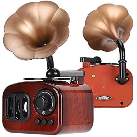 Dodes Gramofon Müzik Kutusu