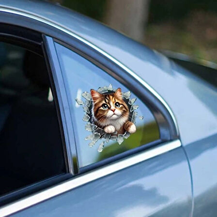 Dodes Fulcar Stray Araç Stickerı