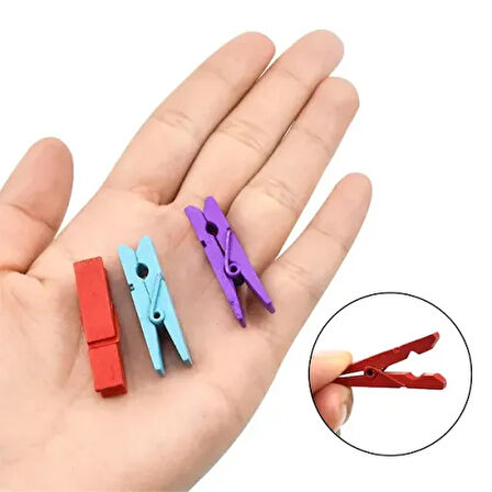 Dodes 50'li Renkli Ahşap Mandal Seti (3.5 cm)