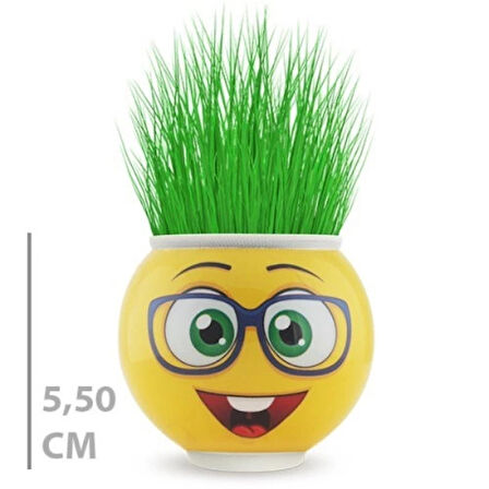 Dodes Çim Adam Saksı Emoji Figürlü 1 Adet