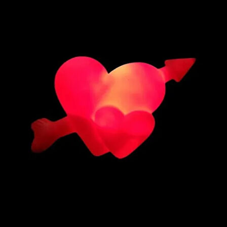 Dodes 12'li Kalp LED Işık