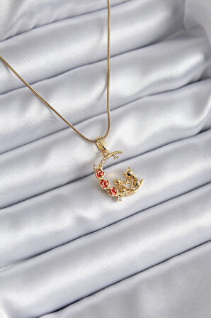 Dodes Dodes 316L Çelik Gold Renk Hilal Kedi Model Zirkon Taşlı Detay Kadın Kolye TG27BKO8140