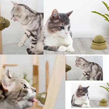 Dodes Kedi Nanesi Oyun Topu