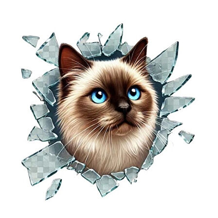 Dodes Fulcar Siamesse Araç Stickerı