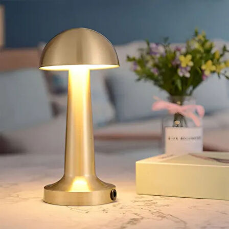 Dodes Dekoratif Led Masa Lambası 3 Renk Modlu