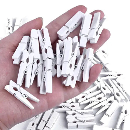 Dodes 1000 Adet Beyaz Ahşap Mandal Seti (2.5 cm)