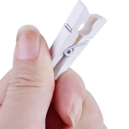 Dodes 1000 Adet Beyaz Ahşap Mandal Seti (2.5 cm)