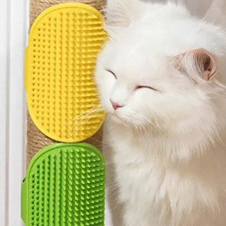 Dodes Hayvan Tüy Toplama Yıkama ve Köşe Kaşınma Silikon Fırçası