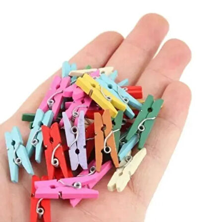 Dodes 100'lü Renkli Ahşap Mandal Seti (2.5 cm)