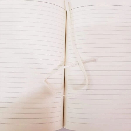 Dodes Dekoratif Yeşil Deri Kaplama Defter Ahşap Kutulu Hediyelik Vip Set