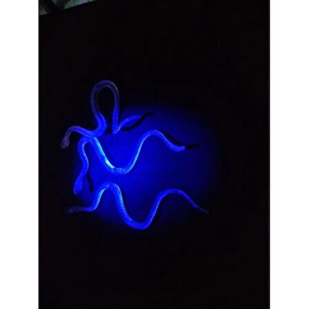 Dodes Şaka Yılan ve Kırkayak Karışık 36 Adet