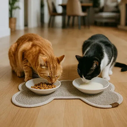 Dodes Kaymaz ve Su Geçirmez Mama Kabı Paspası