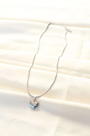 Dodes 316L Çelik Gümüş Renk Kalp Kolye TG27BKO8509