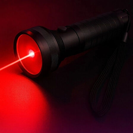 Dodes UV Işığı ve Lazer Özellikli El Feneri