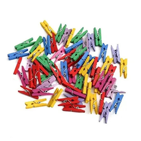 Dodes 100'lü Renkli Ahşap Mandal Seti (2.5 cm)