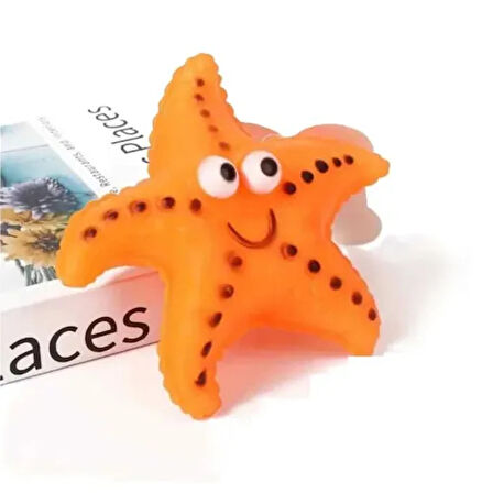 Dodes Denizyıldızı Figürlü Köpek Çiğneme Oyuncağı