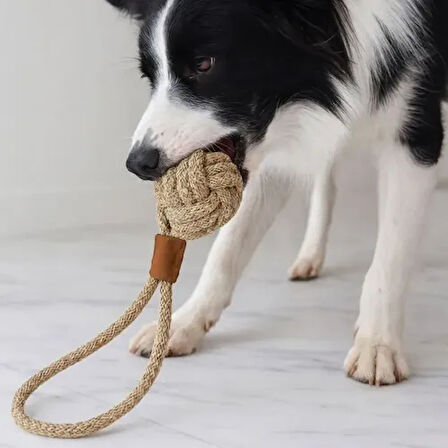 Dodes Mikopet Köpek Oyun Topu