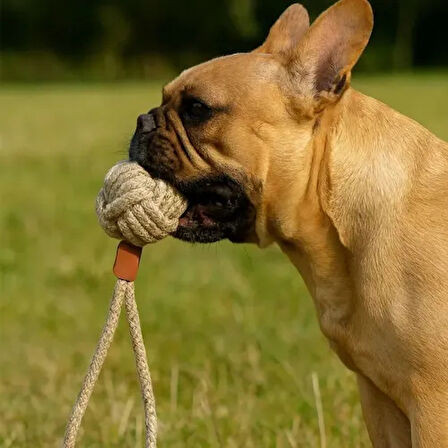 Dodes Mikopet Köpek Oyun Topu