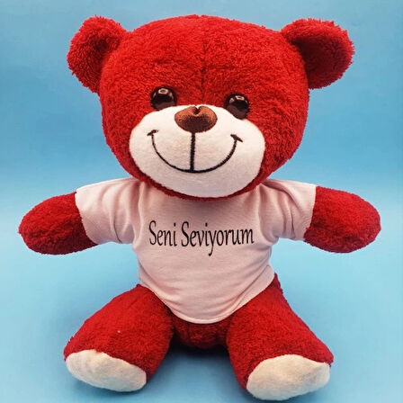 Dodes Kırmızı Ayıcık Seni Seviyorum Tişörtlü