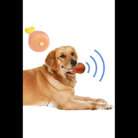 Dodes Köpekler İçin Sesli Oyuncak Tavuk Butu