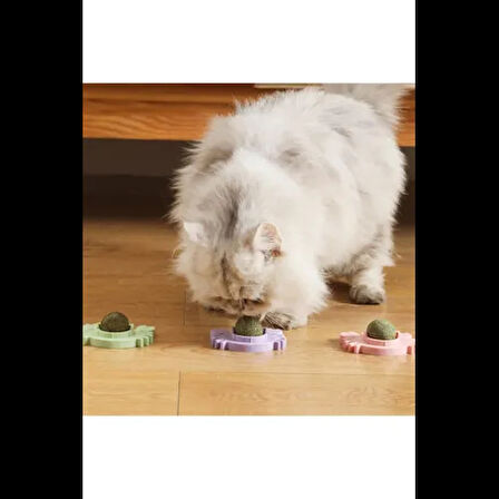 Dodes Yengeç Kedi Otu Oyun Topu