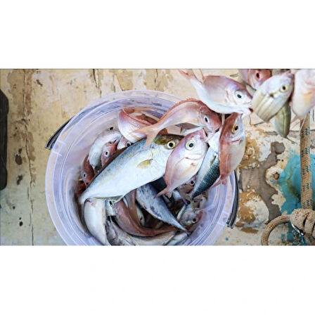 Dodes Misina İpi 300 Metre