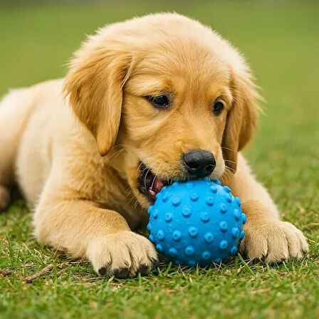 Dodes  PetZoom Mavi Dikenli Köpek Oyun Topu