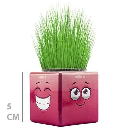 Dodes Çim Adam Mini Küp Emoji Figürlü 1 Adet