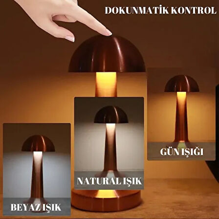 Dodes Dekoratif Led Masa Lambası 3 Renk Modlu