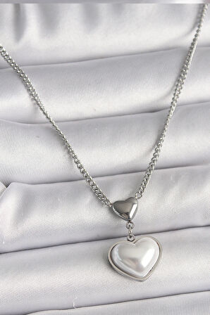 Dodes Dodes 316L Çelik Gümüş Renk Zincir 3D Kalp Model Kadın Kolye TG27BKO9771
