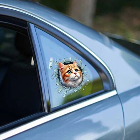 Dodes Fulcar Sarman Araç Stickerı