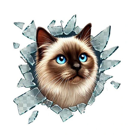 Dodes Fulcar Siamesse Araç Stickerı