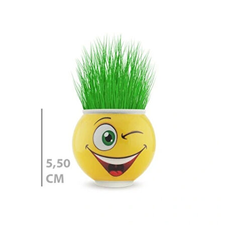 Dodes Çim Adam Saksı Emoji Figürlü 1 Adet