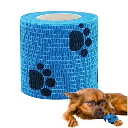 Dodes Pati Desenli Kendinden Yapışkanlı Bandajı