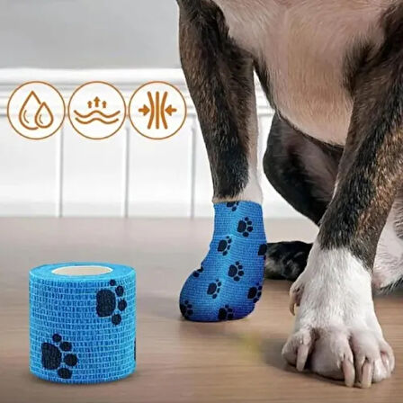 Dodes Pati Desenli Kendinden Yapışkanlı Bandajı