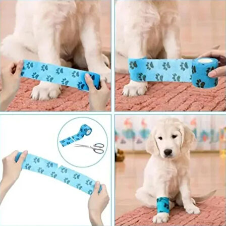 Dodes Pati Desenli Kendinden Yapışkanlı Bandajı