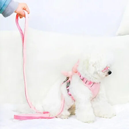 Dodes Peluş Ayıcıklı Göğüs Gezdirme Tasması Seti