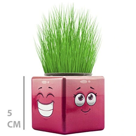 Dodes Çim Adam Mini Küp Emoji Figürlü 1 Adet