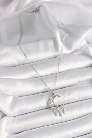 Dodes Dodes 316L Çelik Gümüş Renk Zincir Zirkon Taşlı Hilal Model Sallantı Yaprak Detay Kadın Kolye TG27BKO9651