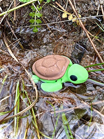 Deniz Kaplumbağası Oyuncak - Okyanusun Bilge Yüzücüsü 🐢🌊✨3d Hareketli Organik Model - Orta Boy