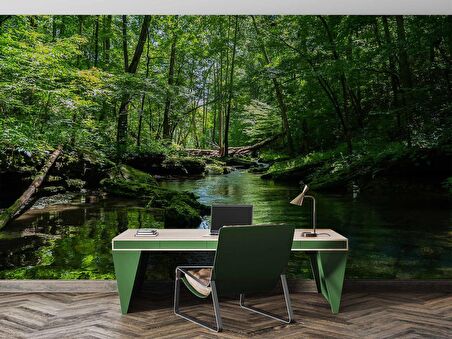 Nehir Manzaralı Duvar Kağıdı Baskı