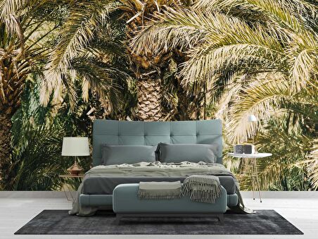Palmiye Temalı Duvar Kağıdı Baskı