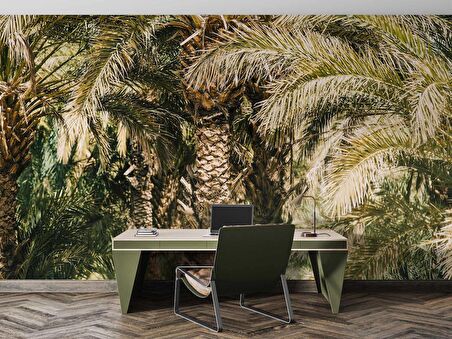 Palmiye Temalı Duvar Kağıdı Baskı