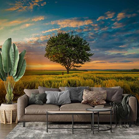 Bulut Ağaç Gündoğumu Manzaralı Duvar Kağıdı Baskı