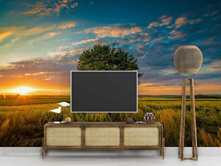 Bulut Ağaç Gündoğumu Manzaralı Duvar Kağıdı Baskı