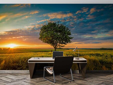 Bulut Ağaç Gündoğumu Manzaralı Duvar Kağıdı Baskı