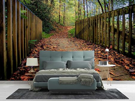 Sonbahar Köprü Manzaralı Duvar Kağıdı Baskı