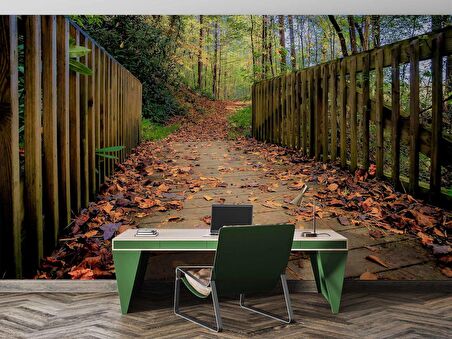 Sonbahar Köprü Manzaralı Duvar Kağıdı Baskı